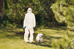 Woman in protective suit walks dog
