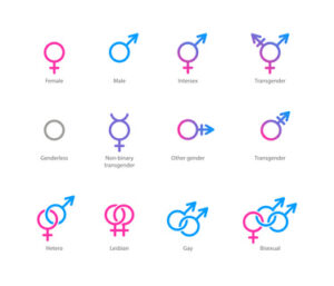 Chart showing different types of possible genders