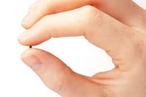 Image of a mustard seed between finger and thumb