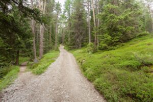 Image of a wide road and narrow path